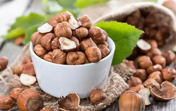 خواص فندق در طب سنتی برای لاغری و مضرات آن