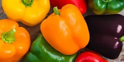 خواص فلفل دلمه ای در طب سنتی برای لاغری و مضرات آن