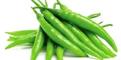 خواص فلفل سبز شیرین در طب سنتی برای لاغری و مضرات آن