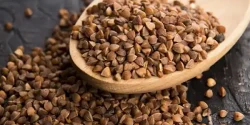 خواص گندم سیاه در طب سنتی برای لاغری و مضرات آن