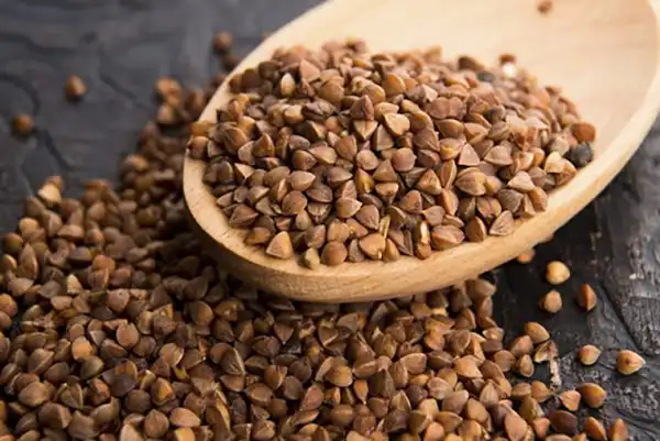 خواص گندم سیاه در طب سنتی برای لاغری و مضرات آن