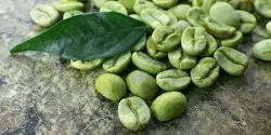 خواص قهوه سبز در طب سنتی برای لاغری و مضرات آن