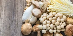 خواص قارچ در طب سنتی برای لاغری و مضرات آن
