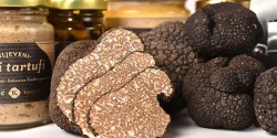 خواص قارچ دنبلان در طب سنتی برای لاغری و مضرات آن