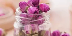 خواص غنچه گل محمدی در طب سنتی برای لاغری و مضرات آن