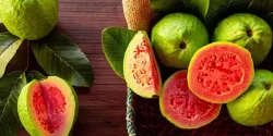 خواص گواوا در طب سنتی برای لاغری و مضرات آن
