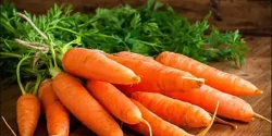 خواص هویج فرنگی در طب سنتی برای لاغری و مضرات آن