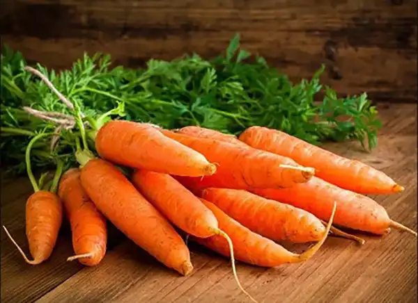 خواص هویج فرنگی در طب سنتی برای لاغری و مضرات آن