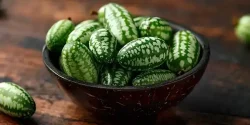 خواص هندوانه کوهی در طب سنتی برای لاغری و کبد و کلیه و دیابت و فشار خون