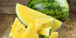 خواص هندوانه زرد در طب سنتی برای لاغری و مضرات آن