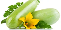 خواص کدو سبز در طب سنتی برای لاغری و مضرات آن