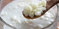 خواص کفیر در طب سنتی برای لاغری و مضرات آن