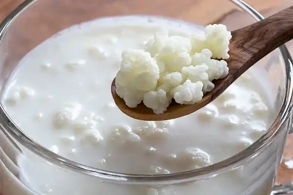 خواص کفیر در طب سنتی برای لاغری و مضرات آن
