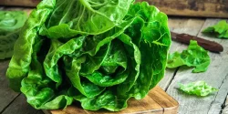 خواص کاهو در طب سنتی برای لاغری و مضرات آن