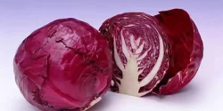 خواص کلم قرمز در طب سنتی برای لاغری و مضرات آن