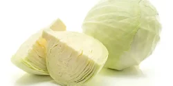 خواص کلم سفید در طب سنتی برای لاغری و مضرات آن