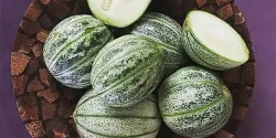 خواص کمبزه در طب سنتی برای لاغری و مضرات آن