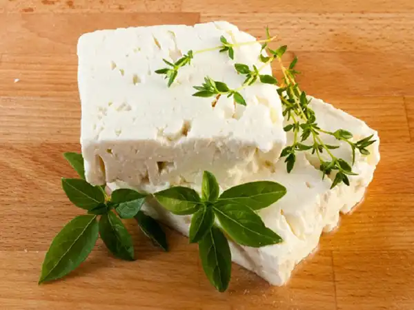 خواص پنیر در طب سنتی برای لاغری و مضرات آن