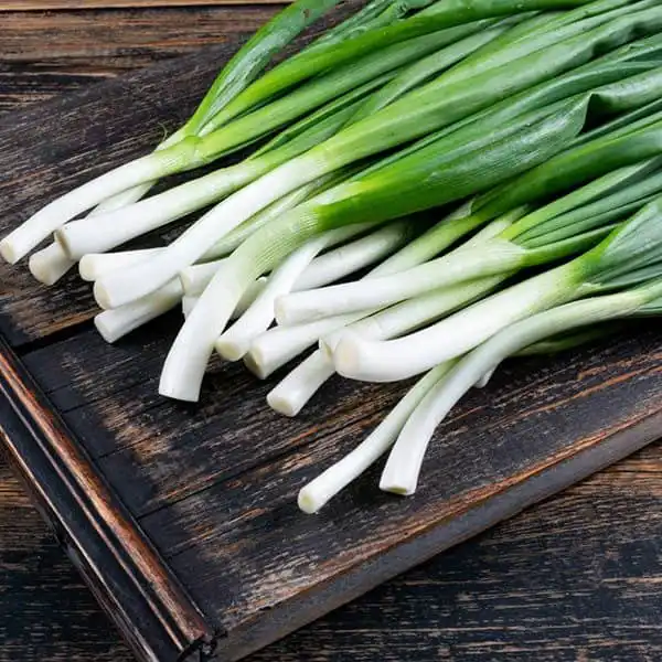 خواص پیازچه در طب سنتی برای لاغری و مضرات آن