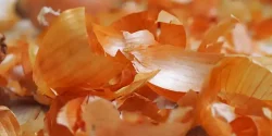 خواص پوست پیاز در طب سنتی برای لاغری و مضرات آن
