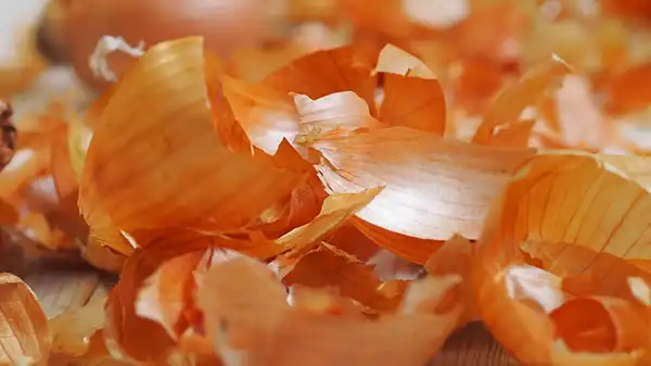 خواص پوست پیاز در طب سنتی برای لاغری و مضرات آن