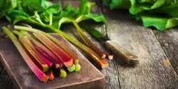 خواص ریواس در طب سنتی برای لاغری و مضرات آن