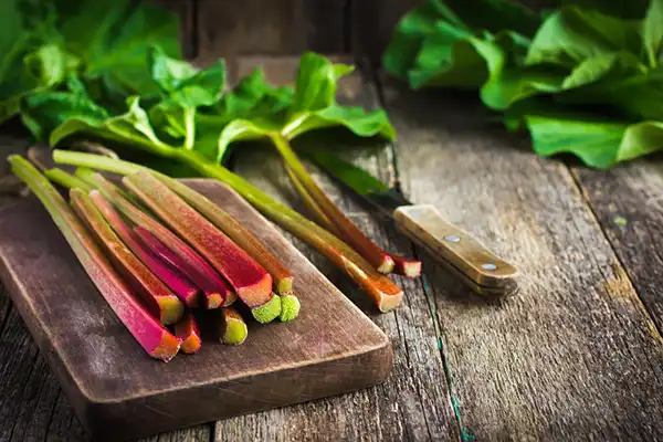 خواص ریواس در طب سنتی برای لاغری و مضرات آن