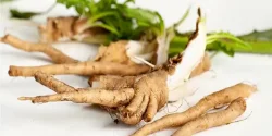 خواص ریشه کاسنی در طب سنتی برای لاغری و مضرات آن