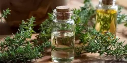 خواص روغن آویشن در طب سنتی برای لاغری و مضرات آن