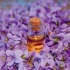 خواص روغن بنفشه در طب سنتی برای لاغری و مضرات آن