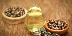 خواص روغن کرچک در طب سنتی برای لاغری و مضرات آن