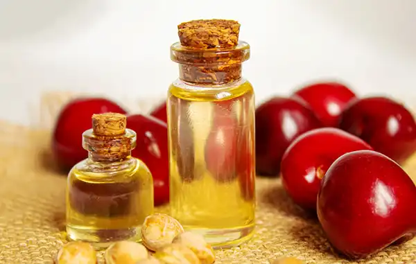 خواص روغن هسته آلبالو در طب سنتی برای لاغری و مضرات آن