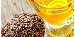 خواص روغن کتان در طب سنتی برای لاغری و مضرات آن