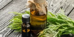 خواص روغن خراطین در طب سنتی برای لاغری و مضرات آن