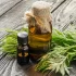 خواص روغن خراطین در طب سنتی برای لاغری و مضرات آن