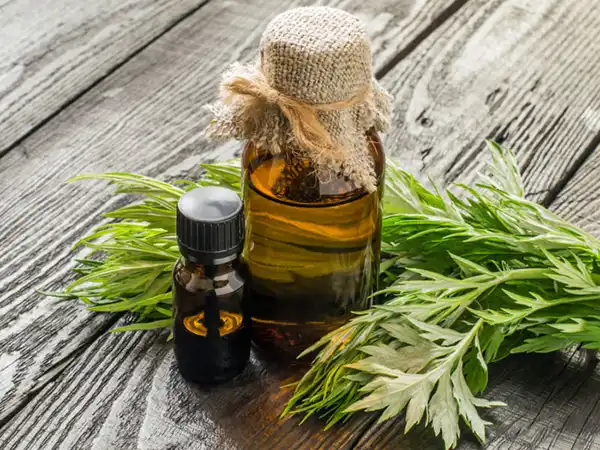 خواص روغن خراطین در طب سنتی برای لاغری و مضرات آن