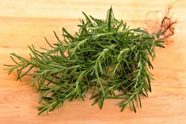 خواص رزماری در طب سنتی برای لاغری و مضرات آن