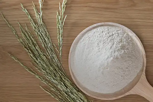 خواص سبوس برنج در طب سنتی برای لاغری و مضرات آن