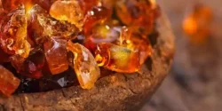 خواص صمغ عربی در طب سنتی برای لاغری و مضرات آن