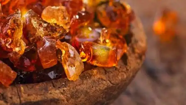 خواص صمغ عربی در طب سنتی برای لاغری و مضرات آن
