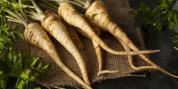خواص شقاقل در طب سنتی برای لاغری و مضرات آن