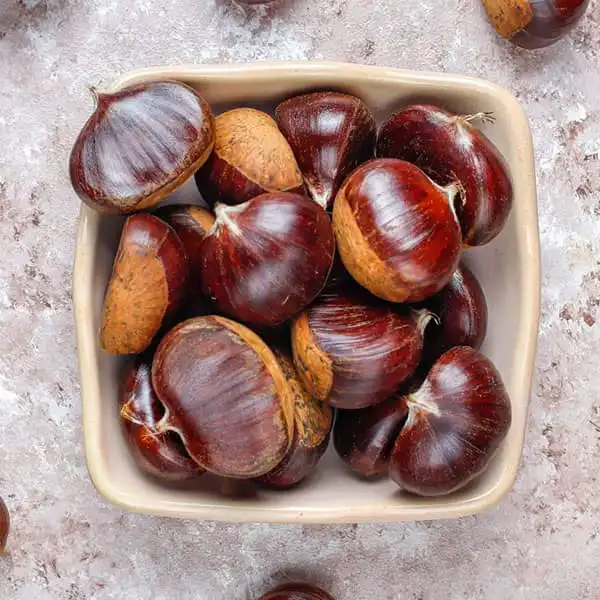 خواص شاه بلوط در طب سنتی برای لاغری و مضرات آن