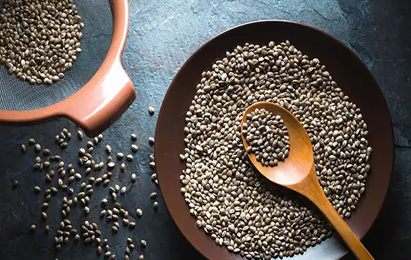 خواص شاهدانه در طب سنتی برای لاغری و مضرات آن