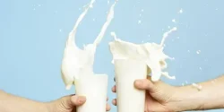 خواص شیر در طب سنتی برای لاغری و مضرات آن