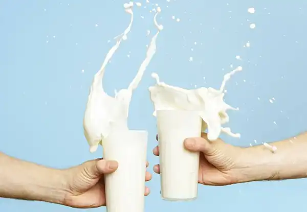 خواص شیر در طب سنتی برای لاغری و مضرات آن