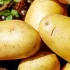 خواص سیب زمینی در طب سنتی برای لاغری و مضرات آن