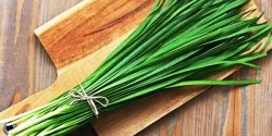 خواص تره در طب سنتی برای لاغری و مضرات آن
