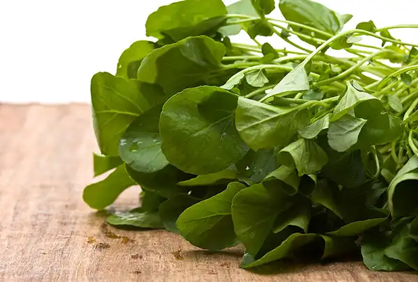 خواص تره تیزک در طب سنتی برای لاغری و مضرات آن