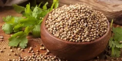خواص تخم گشنیز در طب سنتی برای لاغری و مضرات آن