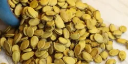 خواص تخمه هندوانه در طب سنتی برای لاغری و مضرات آن